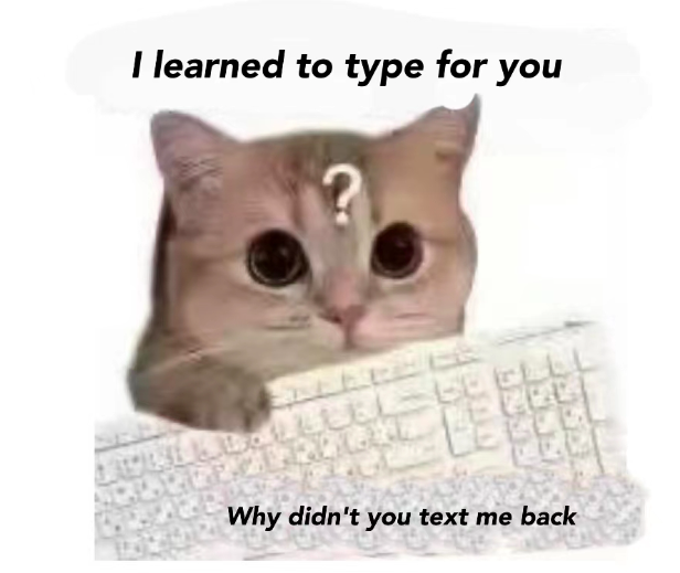 handsomewyb's tweet photo. Who can say no to a cute cat :D https://t.co/ZBqfldu3u0