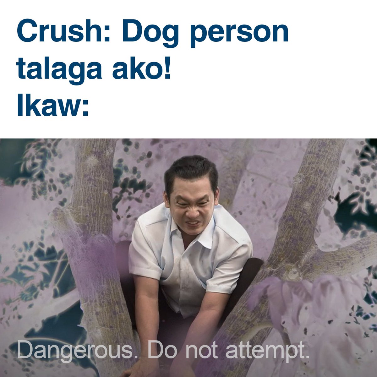 OrocanPH's tweet photo. Sige nga, tag mo siya! ('Di mo kayaaaaa....)

Kung kasing kapal at tibay mo lang ang Orocan Nomi, edi sana kayo na ngayon!

#OrocanNomi #MatibayKahitBaligtarinMoPa

ASC Ref. No. A039N011823OS https://t.co/zTwx4Scd0D