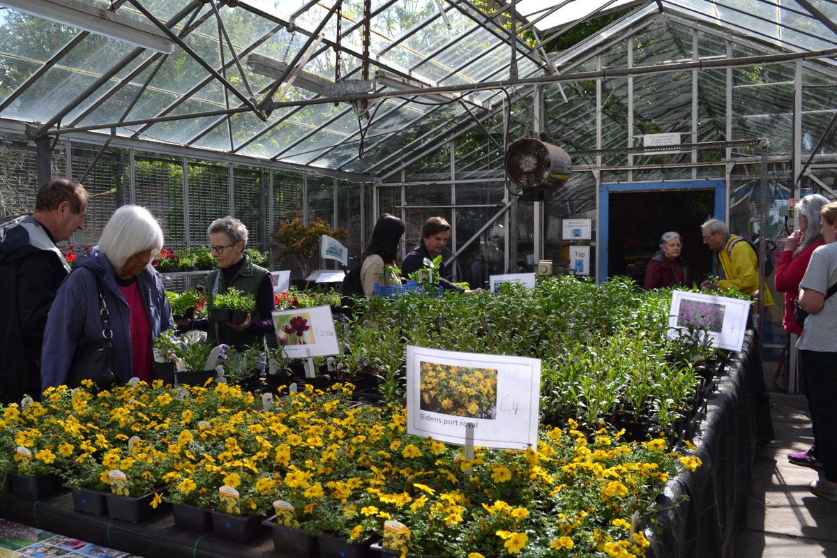 Haringtonscheme's tweet image. Some highlights from our Spring Sale 2022. We hope you can join us again this year!
Saturday 6th &amp;amp; Sunday 7th May 2023, 10am-1pm. Plants, crafts, home-baked goodies, refreshments &amp;amp; live music from @londonbrassband
#Highgate