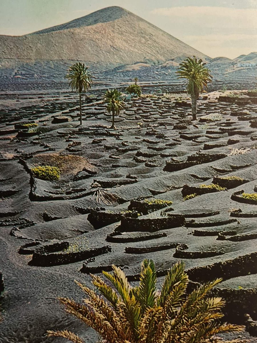 La Geria, Lanzarote