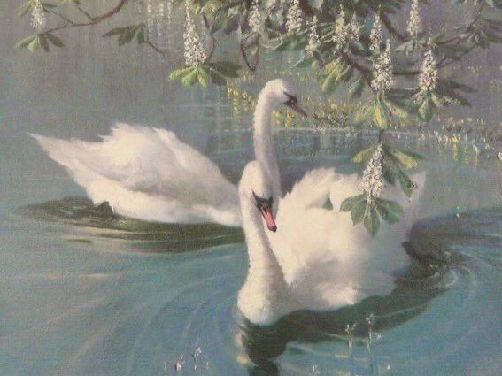 mycelticmoon's tweet photo. Swans in art https://t.co/L46WV2V1TF