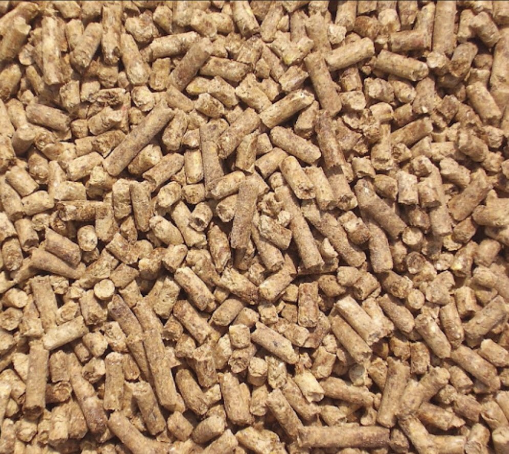 EllyKajeje's tweet photo. Dear #Farmers, once your #chickens start laying eggs they should be switched to a layer feed. #LayerFeeds are formulated for chickens laying table eggs (those used for human consumption).
#TerintambweMuhinzi https://t.co/2edeIFf7TA