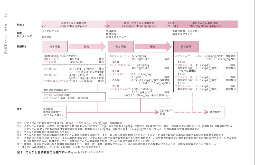 チュート性ナトリウムフェニトインのリーフレット