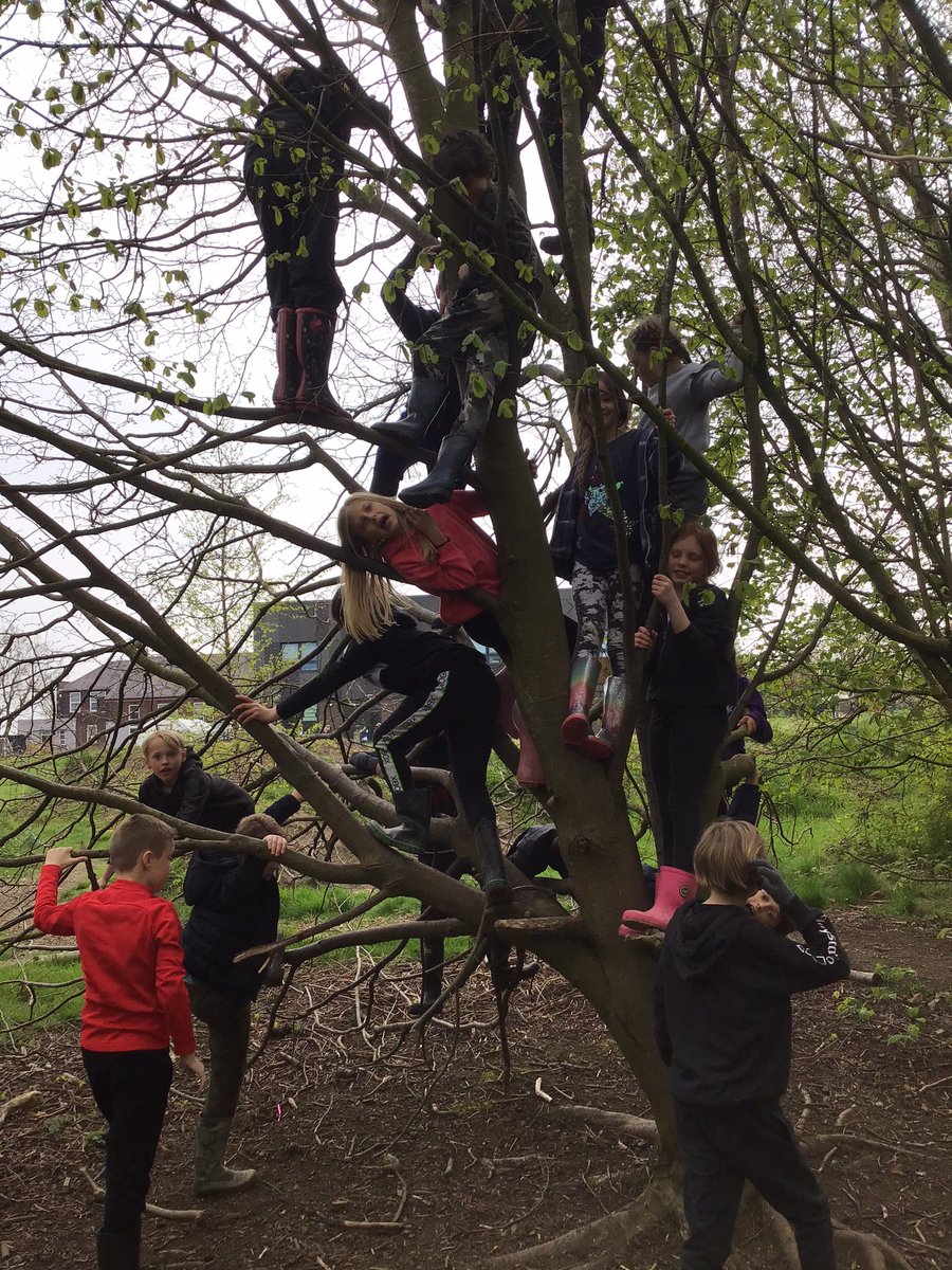 ForestSchBPS's tweet photo. @Mahlangu_Bps had a session of tool skills, principals of working together and a game of how many can fit in a tree. https://t.co/M6pCra4Ldm