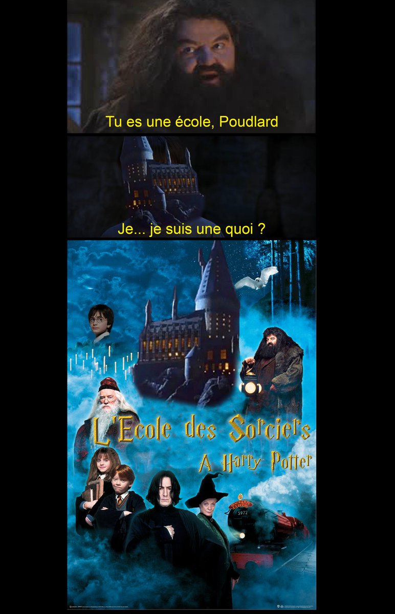 MartinForet's tweet photo. Tellement de possibilités pour une seule scène :')

#HarryPotter https://t.co/M8lALsZkRK