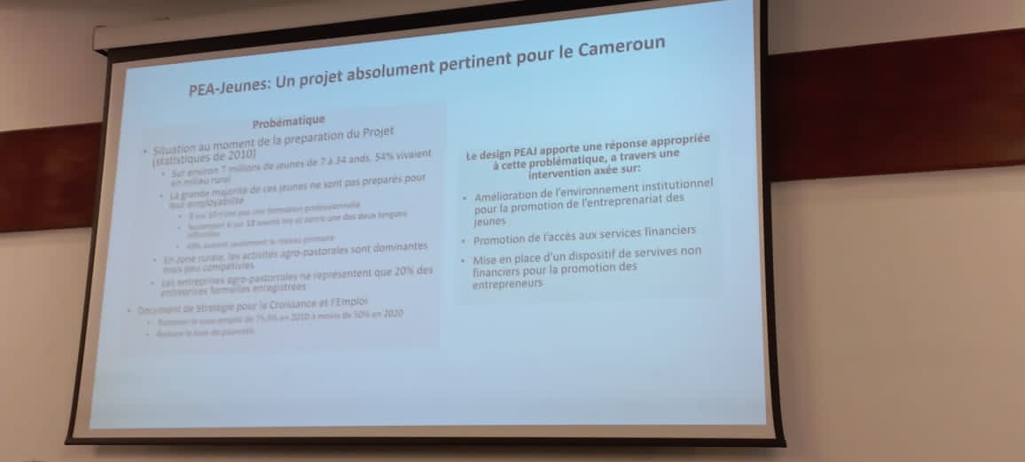 MISSION D’ACHEVEMENT DU PROGRAMME DE PROMOTION DE L’ENTREPRENARIAT AGROPASTORAL DES JEUNES (PEA-Jeunes)
 
Revue d'achèvement du PEA-Jeunes. Présentation du Consultant commis à cet effet.
 #PeaJeunes #agropastorale #agriculture #entrepreneur