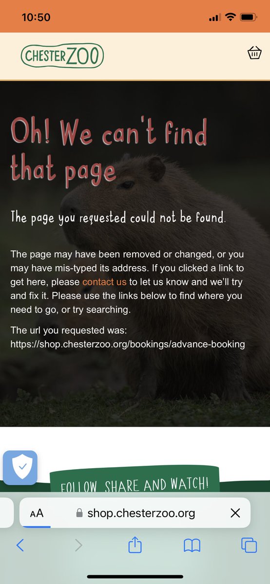 Toria SalisburyScott tweet media