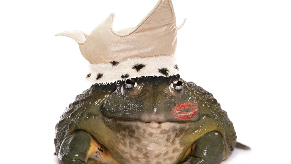 To celebrate 10 awesome years in recruitment, we asked Chris Pelow, MD of our Dublin office, to give us the benefit of his wisdom.   

Heres lesson #5: Quality trumps quantity every time

#recruitmentagency #recruitmentcoaching #dublinrecruitment

bit.ly/3T2TfgC