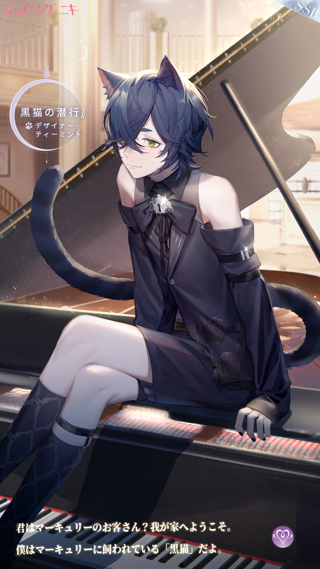 「黒猫みんと」のみ 黒猫みんと」のみ 黒猫みんと」のみ 6875ae3262b31adfbeba0712d1a109