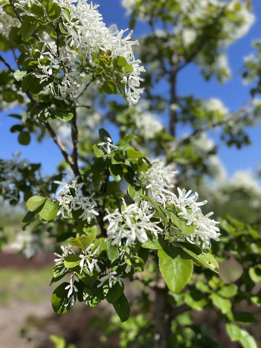 Waterfront Botanical Gardens (@waterfrontgrdns) on Twitter photo News from the Gardens - April 28 🌱 - mailchi.mp/waterfrontgard… News from the Gardens - April 28 🌱 - mailchi.mp/waterfrontgard…