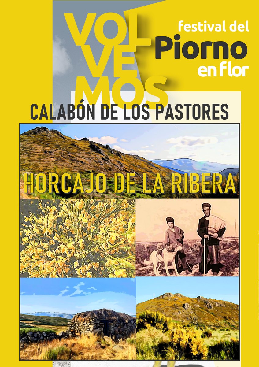 soydehorcajo photo