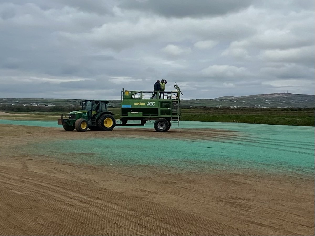 findingfescue tweet media