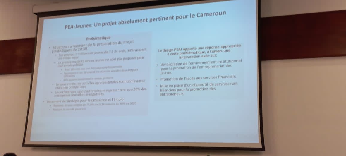 De nombreuses innovations ont été générées. Les chaînes d'approvisionnement qui connectent les jeunes aux marchés des biens et services; les entreprises motrices se spécialisent de plus en plus dans les fonctions d'agrégation, transformation...
 #PeaJeunes  #agropastorale