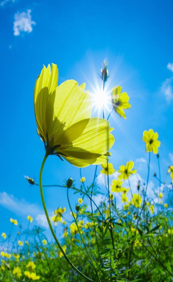 책은어디에 (@bookkwhere) on Twitter photo 