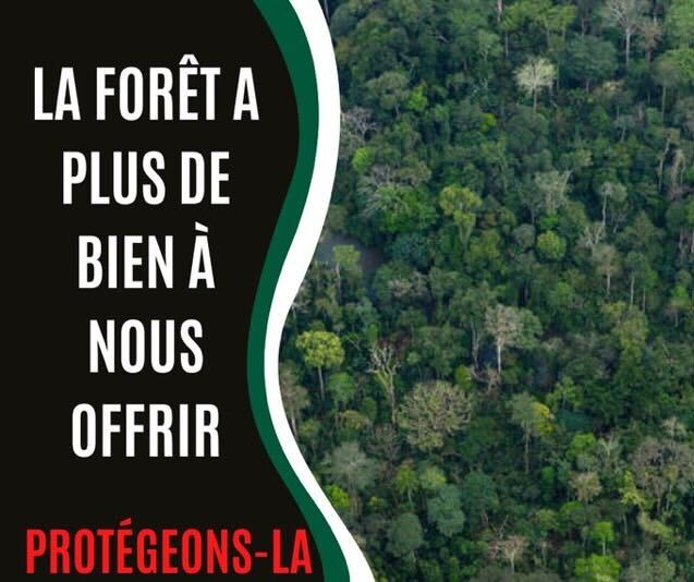GreenpeaceAfrik's tweet photo. La forêt du Congo est désormais le premier poumon vert de la planète. 😎

Sa protection est primordiale pour le bien être climatique de la planète. 

Ajoutez votre voix 👉 https://t.co/JQIGjaxO3x https://t.co/YTXZx2VTsR