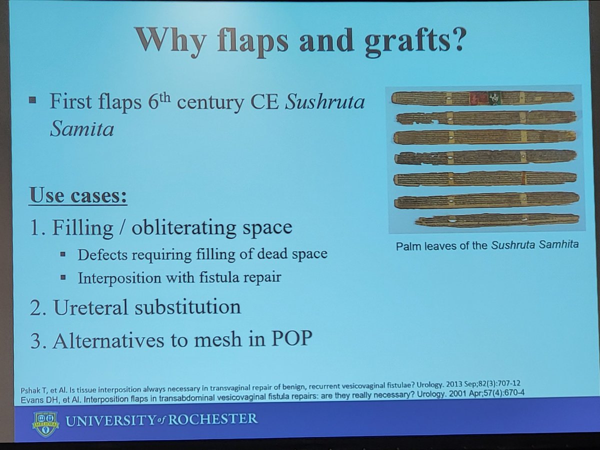 Surgery on the wild side! Pudendal neuromodulation Grafts and flaps - first flap described in 6th century in India 🤩 #IAUA at #AUA23
