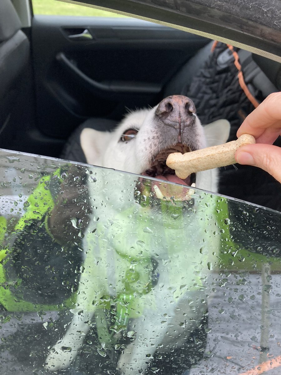 CCRRA1's tweet photo. The rain won’t ruin our day!!

Not when we have the most amazing residents coming in thanking us for holding our HHW event!!

And if you bring your dog, we have treats!! https://t.co/XbjEjJK7FX