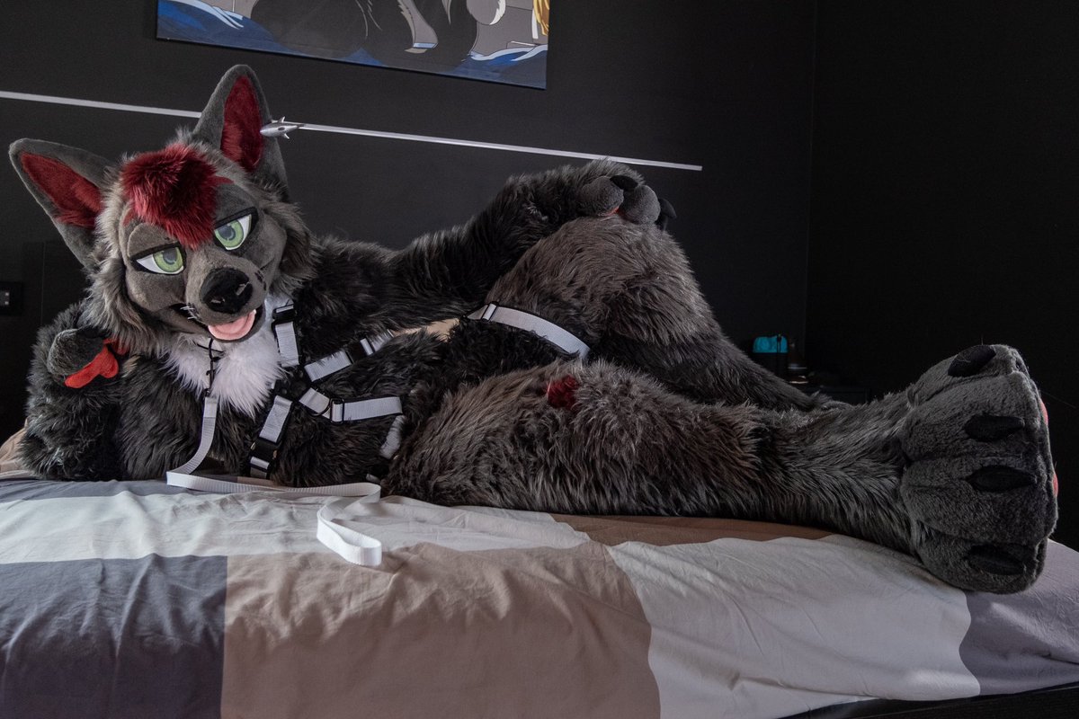 Left a spot just for you ✨

📸 <a href="/LHypewolf/">Hype 🐾</a> 

Happy #FursuitFriday