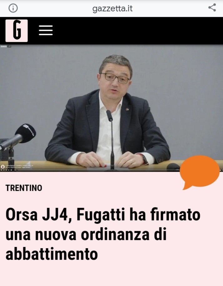 lastregamora's tweet photo. ATTENZIONE!!! FUGATTI HA FIRMATO UNA NUOVA ORDINANZA DI ABBATTIMENTO PER MAMMA ORSA! Ci rendiamo conto? Proteste in tutta Italia, rifugi pronti per mamma orsa, eppure Fugatti insiste! Salviamo gli orsi! 
MANIFESTAZIONE 30 APRILE ORE 14 PIAZZA CONCILIAZIONE, AVIO (TRENTINO) https://t.co/yCMqApqv0N
