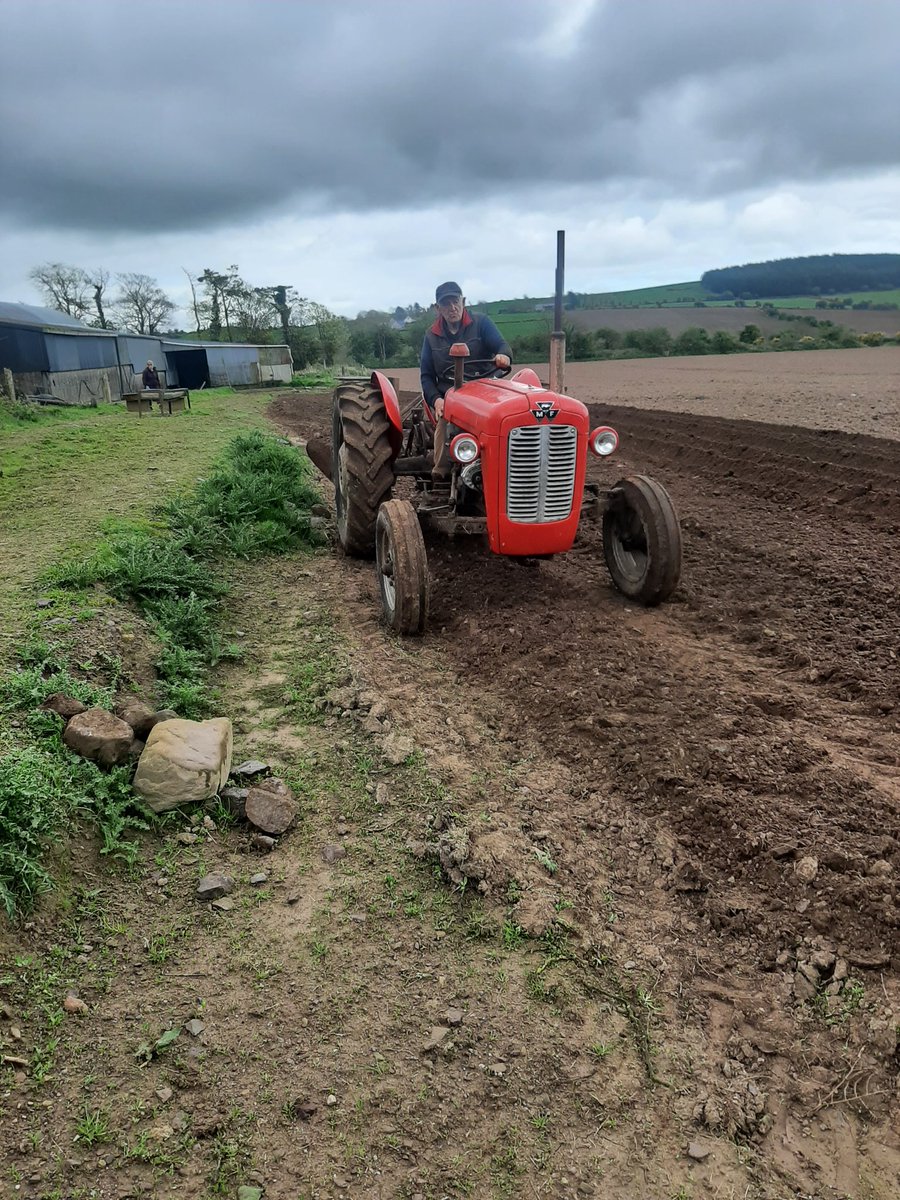 OrlaHurley3's tweet photo. Great day for setting spuds, even if a month late. #growingyourown https://t.co/7k0sxGDge6