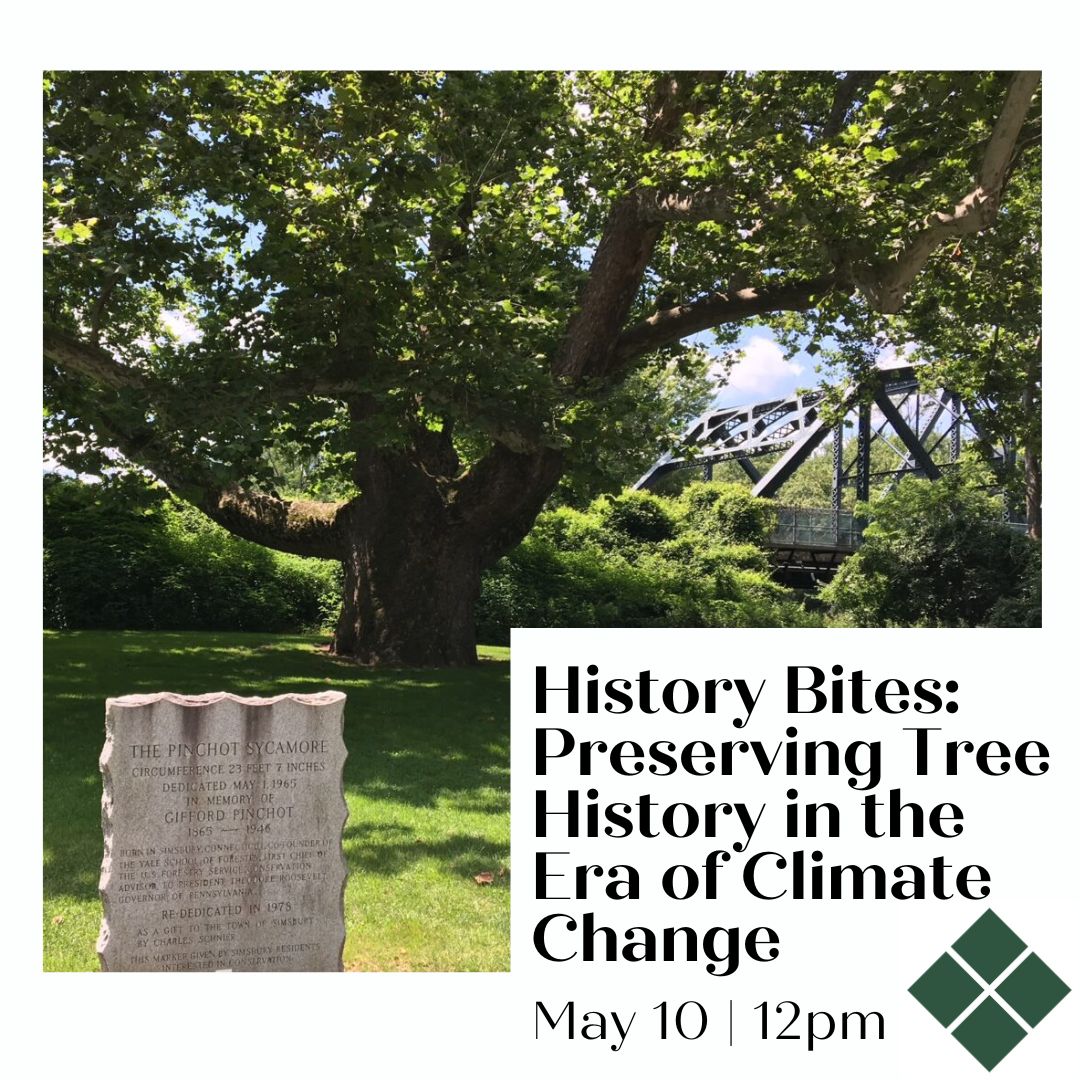 Happy Arbor Day! Our May History Bites program is all about trees. Join us for “Branching Out: Preserving Tree History in the Era of Climate Change” on 5/10 at 12 pm with guest speaker Leah S. Glaser, Professor of History at CCSU. bit.ly/3ZOkxdx