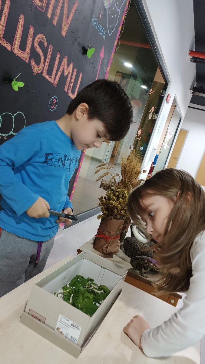 edamert53's tweet photo. Temamız “CANLILAR” olduğuna göre kampüsümüzdeki dostlarımızla tanışıyoruz. 🐛🌿🦋 #BahcesehirKoleji #heranımdabahcesehir @mturanoznacar @tugbaozdinc @svmbyrktr @BkOmerli https://t.co/L7CAZx8NHx