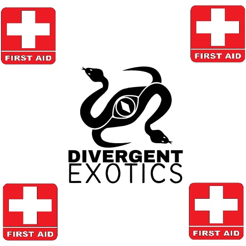 Divergent Exotics tweet media