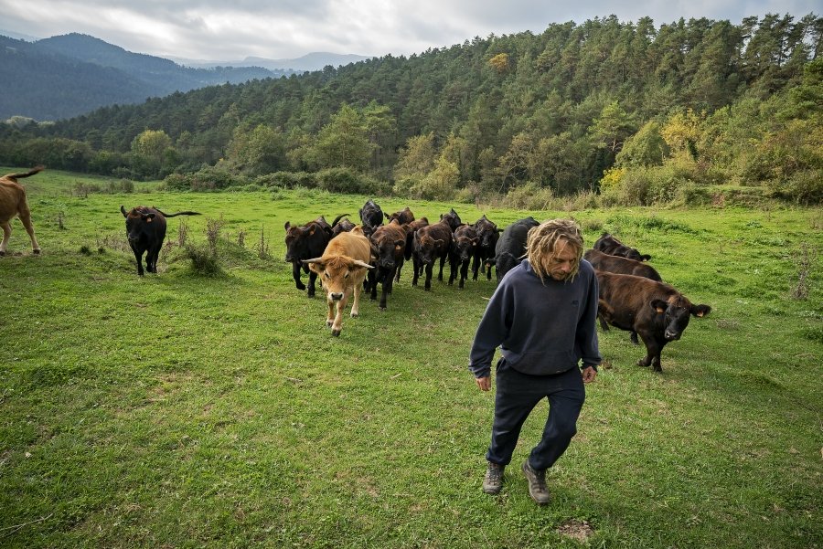 BcnAgraria's tweet photo. 🐮La @Diba impulsa un sistema de tancats virtuals reconegut pels #PremisPITA 2022.
Els ramaders de La Casanova de Sora, beneficiaris de la 1ª prova pilot per controlar vaques amb el mòbil, han estat finalistes.
ℹ️ https://t.co/xtGEmkrpDG
#BoscosdePastura #BCNSmartRural https://t.co/jwCohpI2Z5