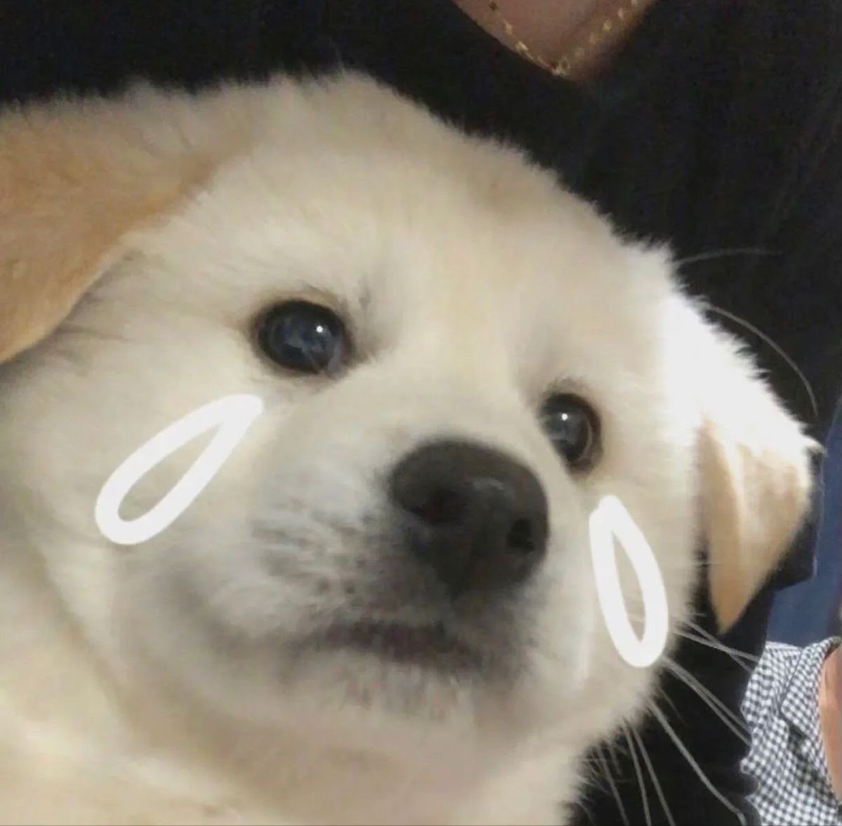 DHX0X's tweet photo. @AjeXxaa โอเคครับ อันนั้นผมทำก็ได้ https://t.co/ASRlGNJIEk