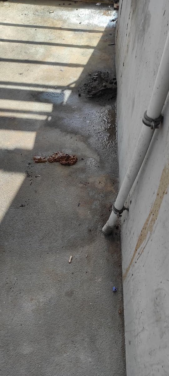 BdgRuchMiejski's tweet image. Dzisiaj Bydgoszcz Wschód. Jutro Rondo Jagiellonów?
Zachęcamy do udziału w konsultacjach póki nie jest za późno. 

#bydgoszcz
1/3