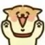 YlLyb's tweet photo. https://t.co/B5xziUvSkn