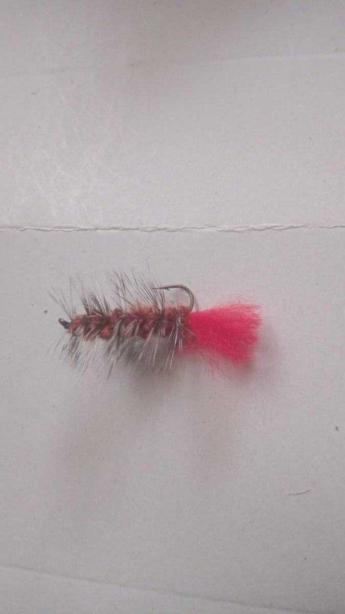 MaxedVentures's tweet photo. BUSINESS OPPOTUNITY: Orders are delivered conveniently as agreed, our prices are very reasonable, and we work to strict deadlines. NOTE: All our flies are sold in dozen.
#girlsgang
#Whoopi
#CashAppFriday
#DeutscheBank
#Scots
#MikePence
#Samsung
#auspol
#JackSmith
#UCLA https://t.co/kCKNoV51lU