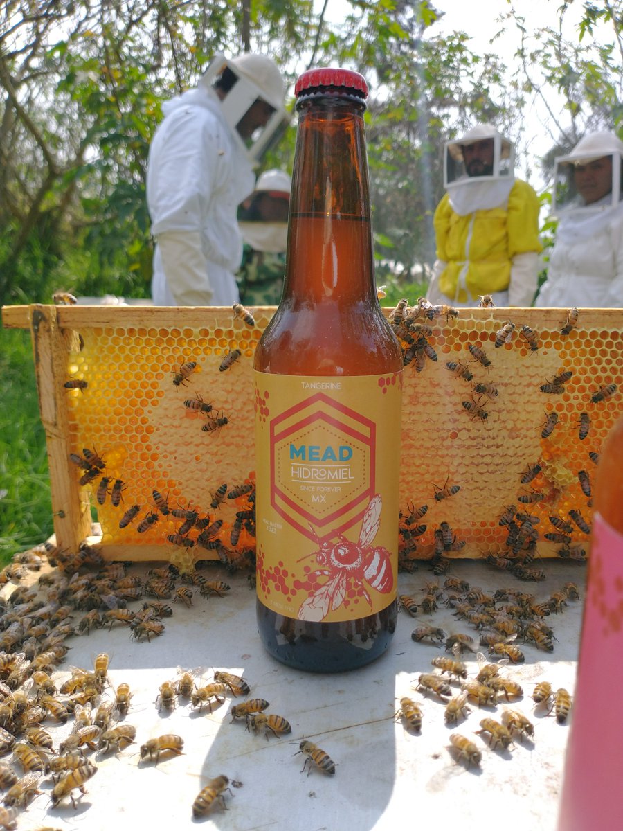 Mead & Ale tweet media