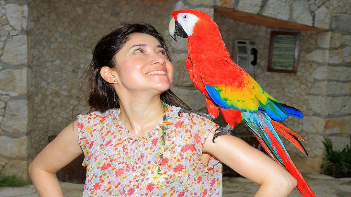 sakilabegum188's tweet photo. Most Beautiful Parrot Talking sound video 2023
#Parrot #parrotvideo #parrottalking #beautifulparrot #niceparrot
https://t.co/bYDK9rXP3R https://t.co/oMbFbP4Y0Y