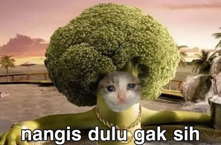 sha (@vacahncy) / Posts / X