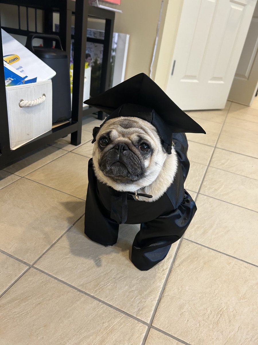 SchulteGraham's tweet photo. #UMPsychGrad23 https://t.co/7xbea5WExd