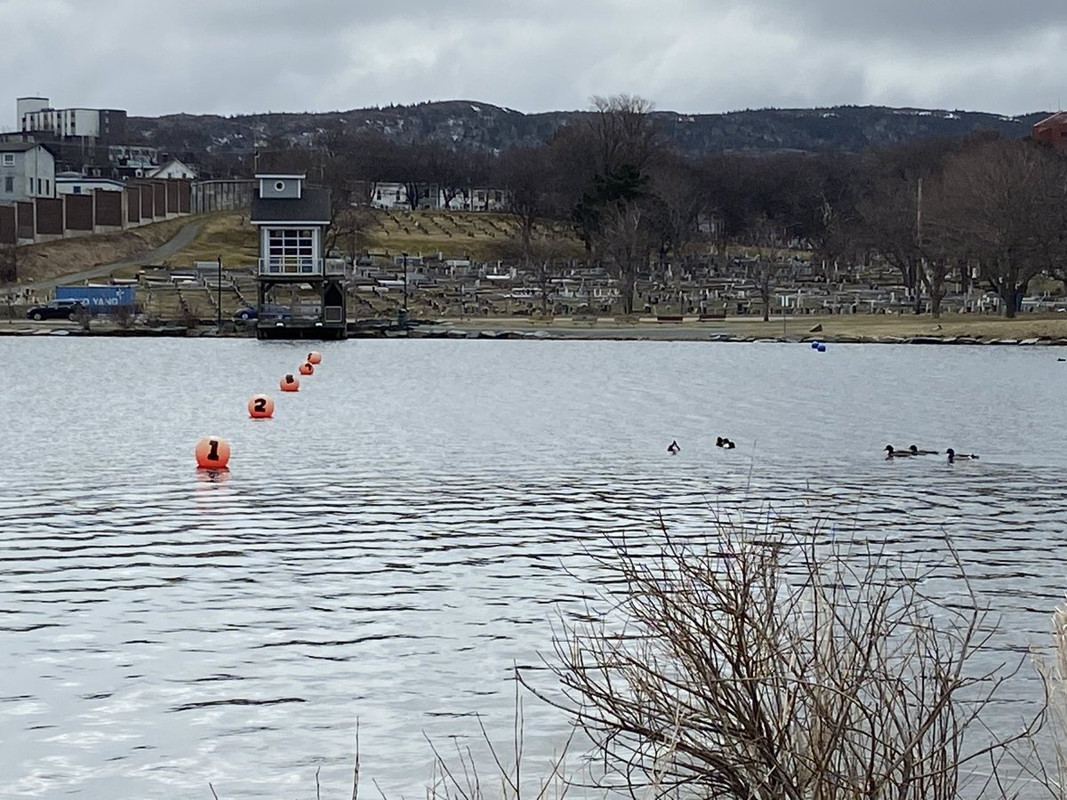 StJohnsRegatta's tweet photo. 📣 Are you all ready? Things are lining up for a great start to the 2023 rowing season. Boats and rowers will be back on the pond this coming Monday. https://t.co/g6nq0AYExw