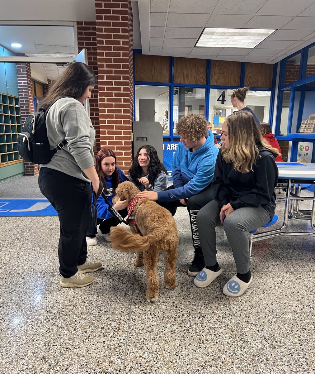UnionScotties's tweet photo. Last week, The Alliance of Therapy Dogs, visited the middle/high school as they were preparing for the PSSAs.  Special thanks to Stella, Hazel, and Winston for visiting us, as well as to their handlers, Emily, Jodi, and JoAnne. https://t.co/L3k8BfrgEi