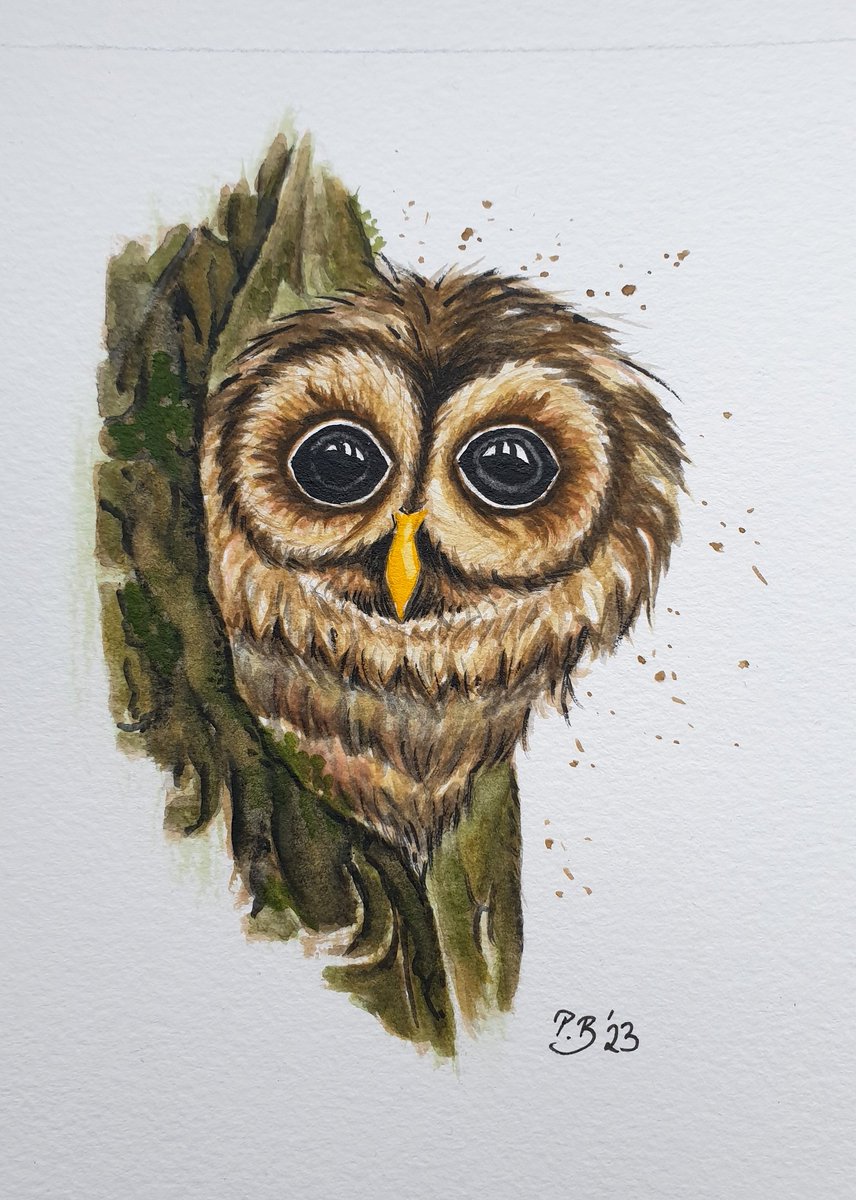 My tawny owl 🦉for #BirdWhisperer by @BirdWhisperers 

#waldkauz #kleineKunstklasse #watercolor #birdwhispererproject 
#bird #owls