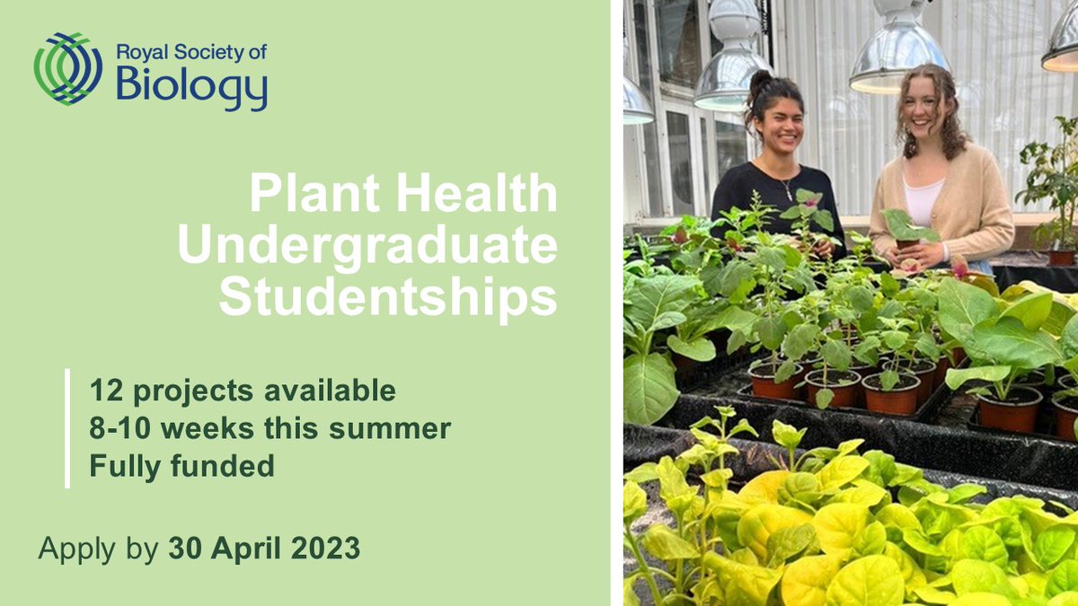 Last chance for bioscience undergraduates to apply for our 12 paid #planthealth research projects, taking place over 8-10 weeks this summer and culminating in a poster. Apply by this Sunday at midnight. Project details: rsb.org.uk/get-involved/g…