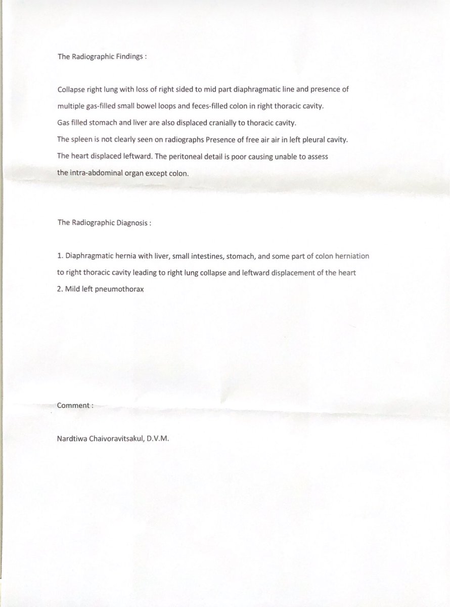 mook_swn's tweet image. หาค่าผ่ากระบังลมลูกแมวจรค่ะ 10,000฿ น้องต้องผ่าด่วนเพราะกำลังจะตาย ที่เราทำได้คือทำการกู้เงินออกมาสำหรับค่าพักฟื้นหลังผ่าเพราะต้องใส่เครื่องช่วยหายใจ 24 ชม 5 วัน ๆ ละ 3 พัน รออนุมัติผลอยู่ค่ะ SCB 422-068387-8 เสาวนีย์ นิลอัมพร #จอมขวัญ #พรรคก้าวไกลเบอร์31 #ตามหาจินจิ #โหนกระเเส