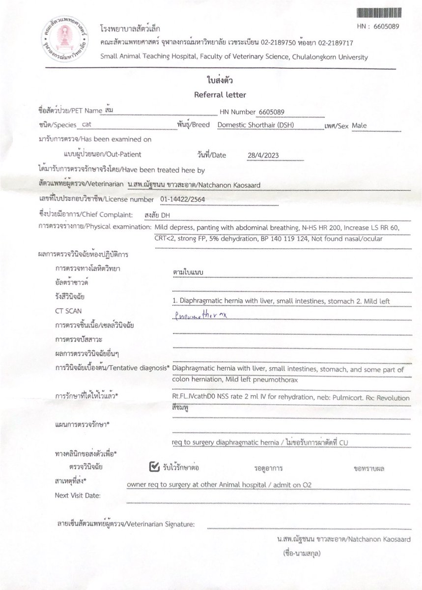 mook_swn's tweet image. หาค่าผ่ากระบังลมลูกแมวจรค่ะ 10,000฿ น้องต้องผ่าด่วนเพราะกำลังจะตาย ที่เราทำได้คือทำการกู้เงินออกมาสำหรับค่าพักฟื้นหลังผ่าเพราะต้องใส่เครื่องช่วยหายใจ 24 ชม 5 วัน ๆ ละ 3 พัน รออนุมัติผลอยู่ค่ะ SCB 422-068387-8 เสาวนีย์ นิลอัมพร #จอมขวัญ #พรรคก้าวไกลเบอร์31 #ตามหาจินจิ #โหนกระเเส
