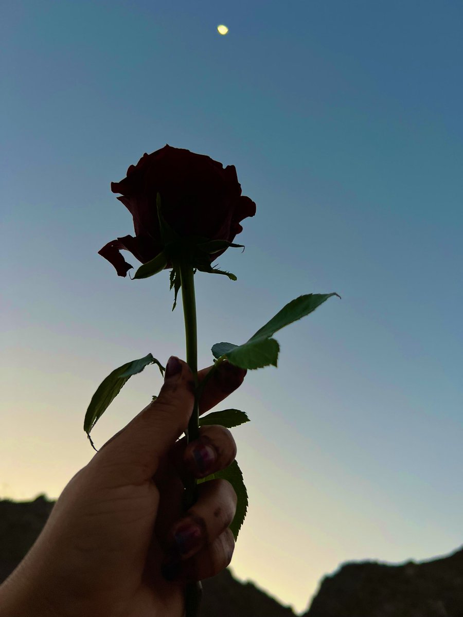 ولا لي بالبشر غاية ولا لي بالثرى أوتاد
خفوقي حر و اتبع ما يعز النفس وارضيها

تركت أحلام واجد .. لأنها في ناظري أقیاد
وأنا ما ارضى القيود اللي تشل الروح بيديها " 💌