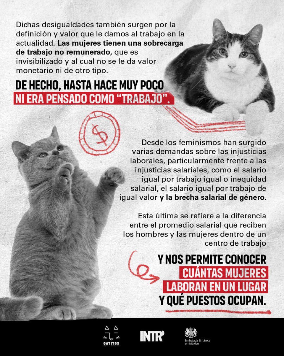 imezesuge4's tweet photo. RT @intersectaorg: Nos reunimos con @GatitosVsDesig y @UKinMexico para platicar sobre las distintas desigualdades laborales por género, como la brecha salarial de género. ¿Te lo perdiste? Aquí te compartimos un breve recuento de nuestra conversación: https://t.co/0NZQFF25Gx