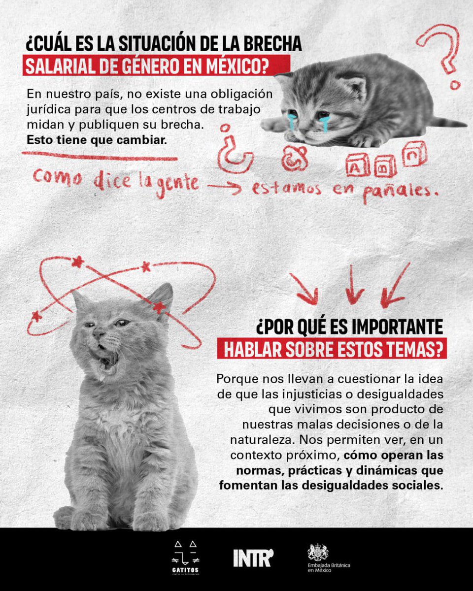 imezesuge4's tweet photo. RT @intersectaorg: Nos reunimos con @GatitosVsDesig y @UKinMexico para platicar sobre las distintas desigualdades laborales por género, como la brecha salarial de género. ¿Te lo perdiste? Aquí te compartimos un breve recuento de nuestra conversación: https://t.co/0NZQFF25Gx