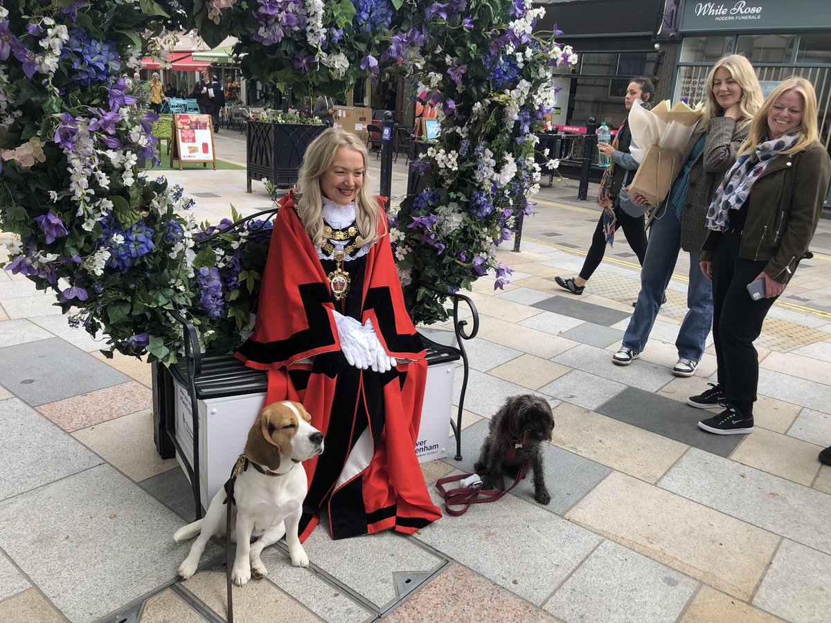 Stephen O'Shea tweet media