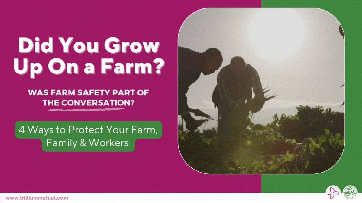 TrilliumMutual's tweet image. Today is Workplace Day of Safety &amp;amp; Mourning (@WSIB)
. 
Today we reflect on what safety looks like &amp;amp; share stories of how these tragedies have impacted people&apos;s lives. Safe farm practices (trilliummutual.com/blog/farm-safe…) can help prevent accidents &amp;amp; injuries! 
. 
#OntAg #PracticeSafeWork
