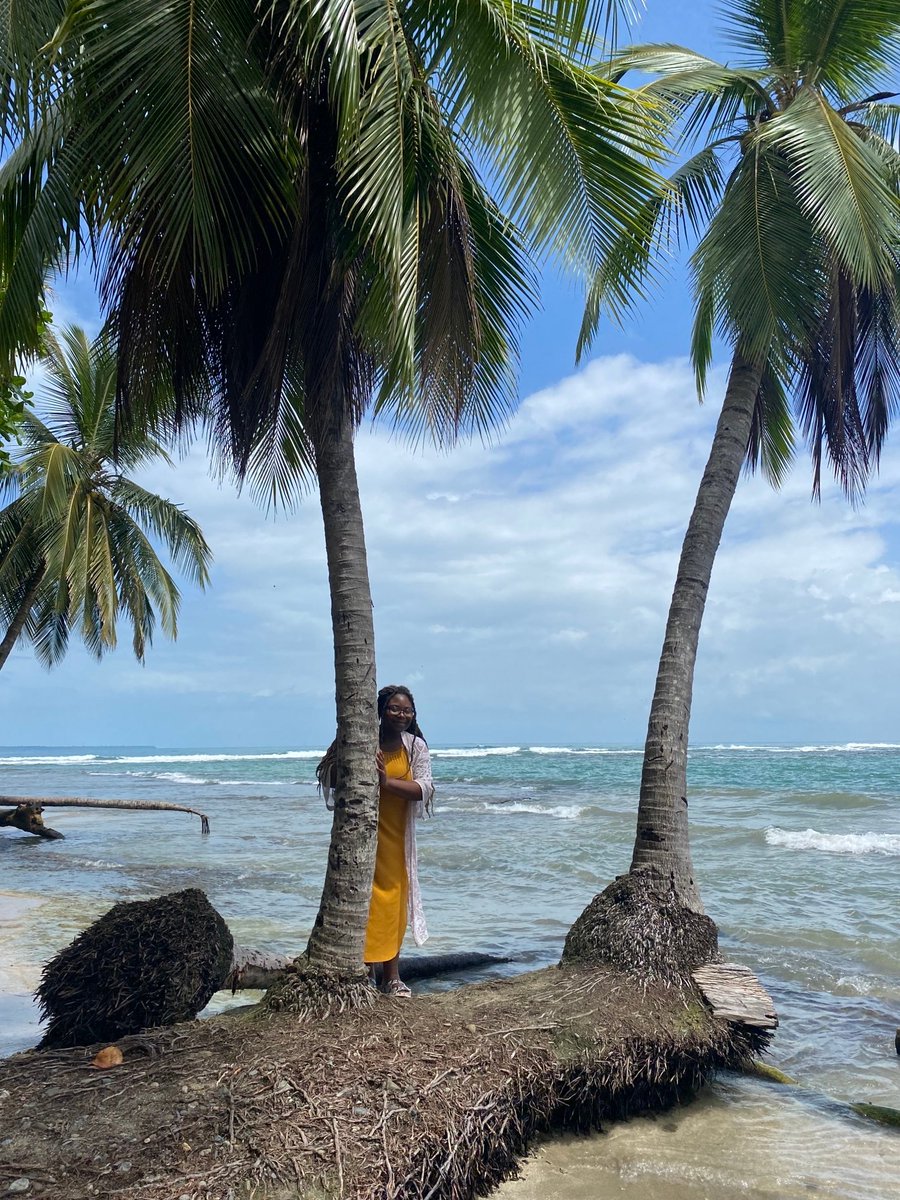 USM CEHS tweet media