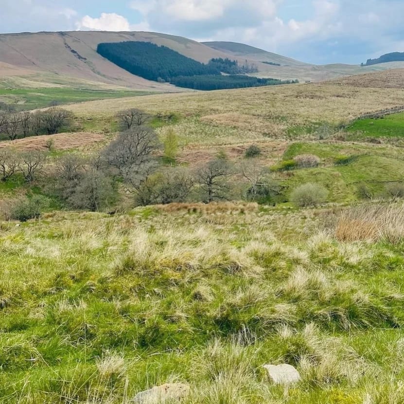 fillyaboots_'s tweet photo. Interested in joining Merseyside’s best (we’re biased) walking group? 
 
Pop down to our Member’s Social at @Doctor_Duncans  on Thursday 4th May — we’ll be in the fireplace room from 8pm ready to talk all things walks, strolls, hikes and nice pints :) https://t.co/3z6zl7popr