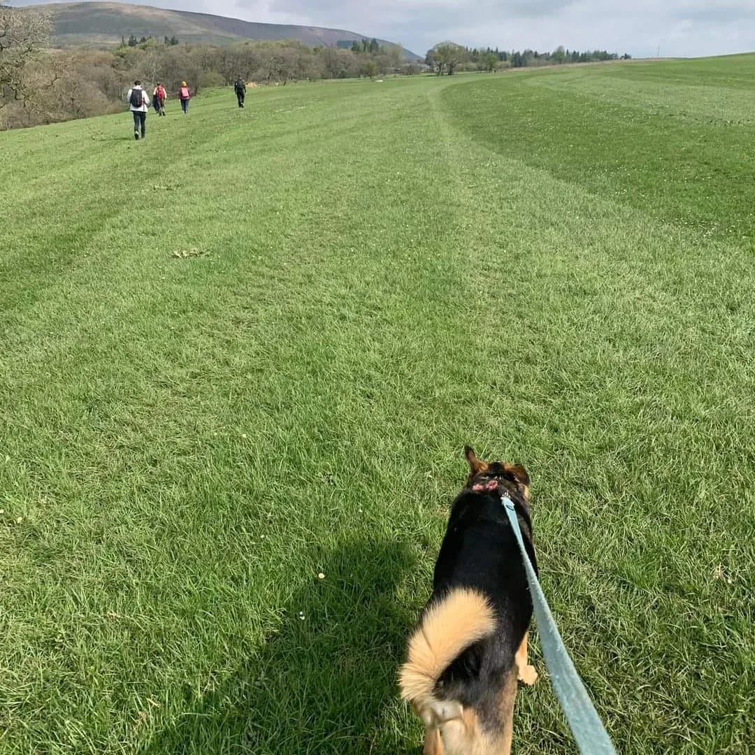 fillyaboots_'s tweet photo. Interested in joining Merseyside’s best (we’re biased) walking group? 
 
Pop down to our Member’s Social at @Doctor_Duncans  on Thursday 4th May — we’ll be in the fireplace room from 8pm ready to talk all things walks, strolls, hikes and nice pints :) https://t.co/3z6zl7popr